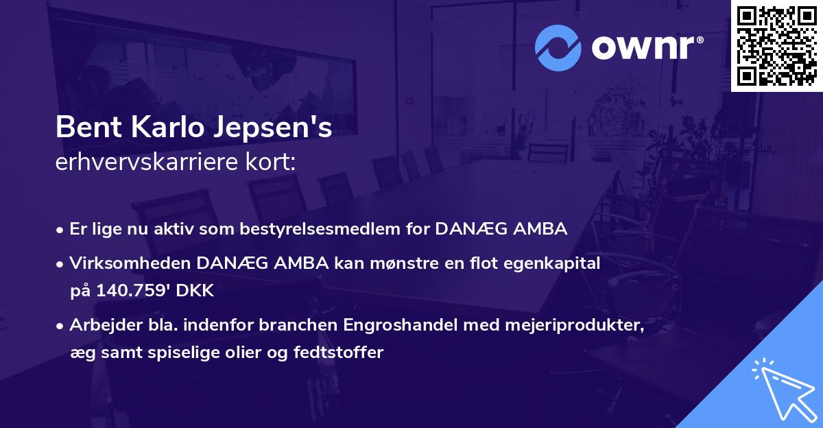 Bent Karlo Jepsen's erhvervskarriere kort