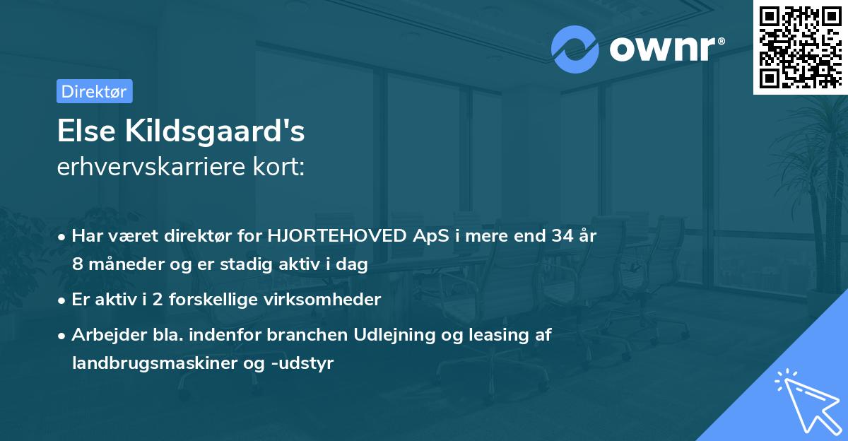 Else Kildsgaard's erhvervskarriere kort