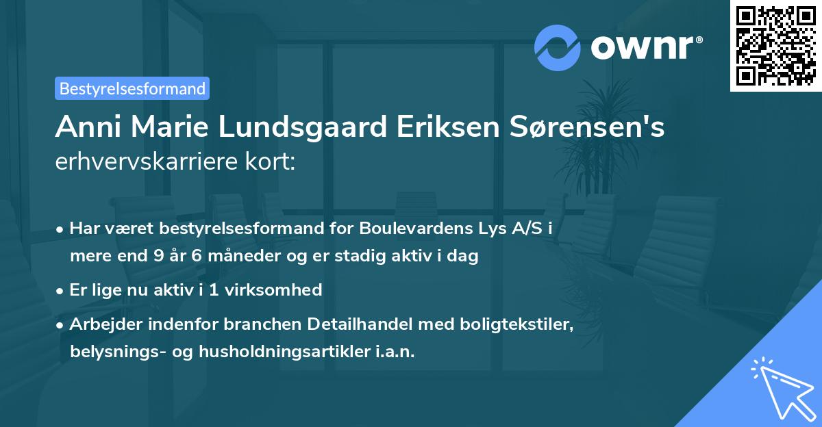 Anni Marie Lundsgaard Eriksen Sørensen's erhvervskarriere kort