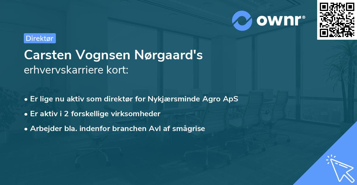 Carsten Vognsen Nørgaard's erhvervskarriere kort