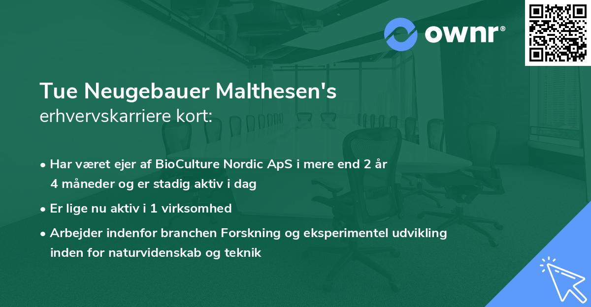 Tue Neugebauer Malthesen's erhvervskarriere kort