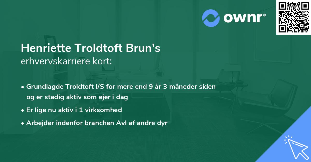 Henriette Troldtoft Brun's erhvervskarriere kort