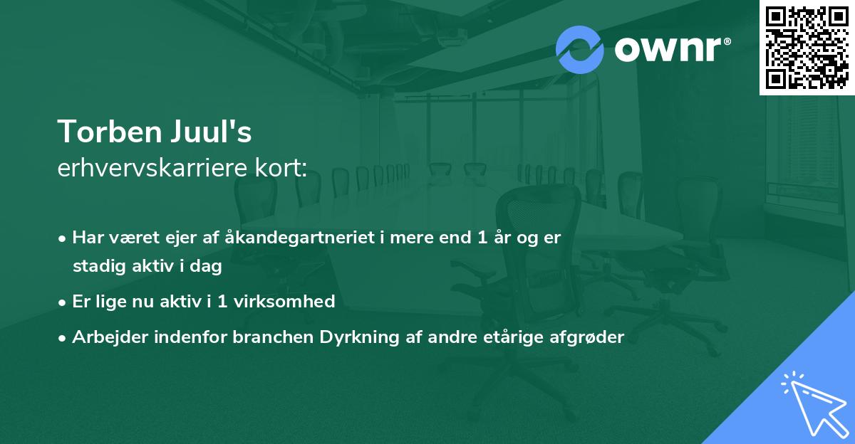Torben Juul's erhvervskarriere kort