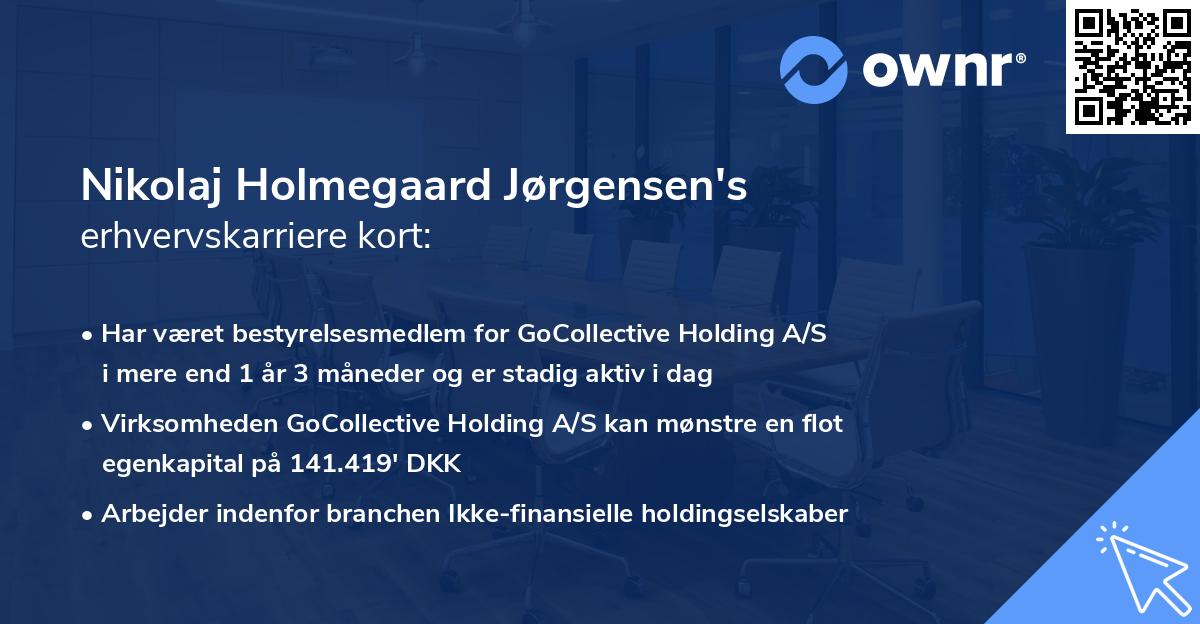 Nikolaj Holmegaard Jørgensen's erhvervskarriere kort