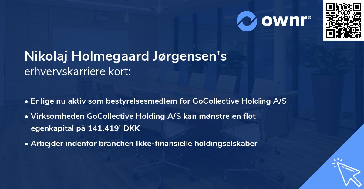 Nikolaj Holmegaard Jørgensen's erhvervskarriere kort