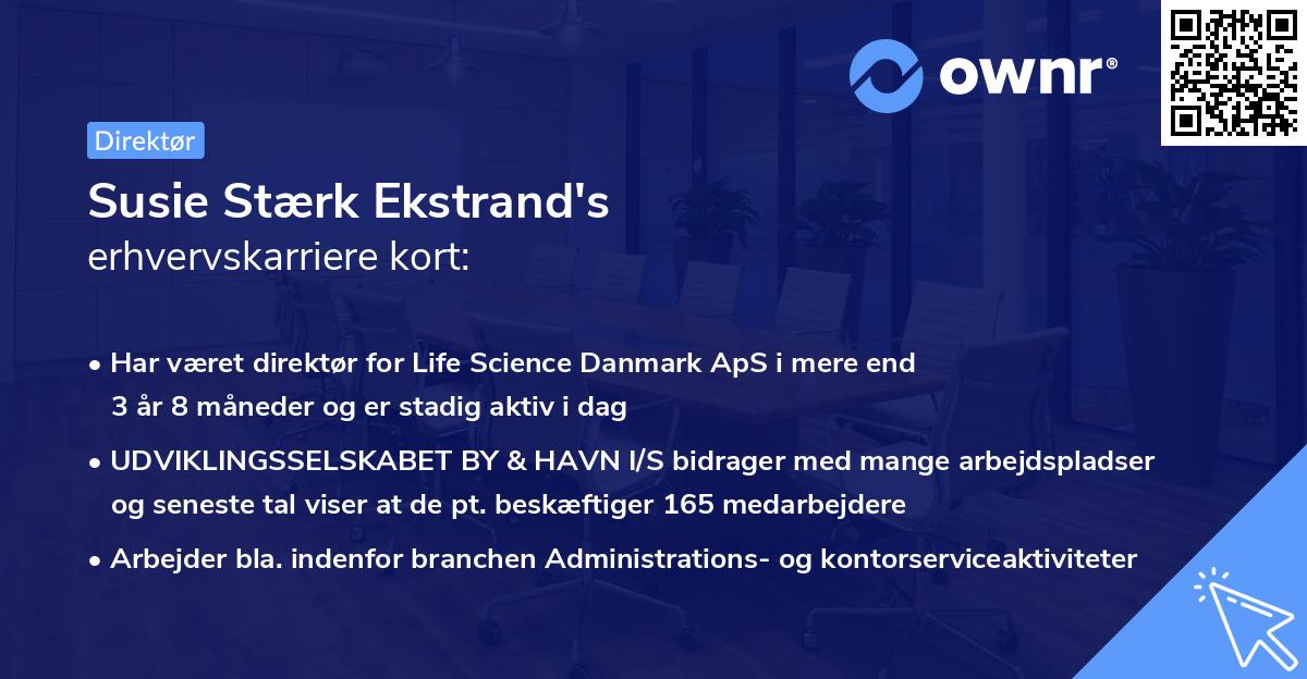 Susie Stærk Ekstrand's erhvervskarriere kort
