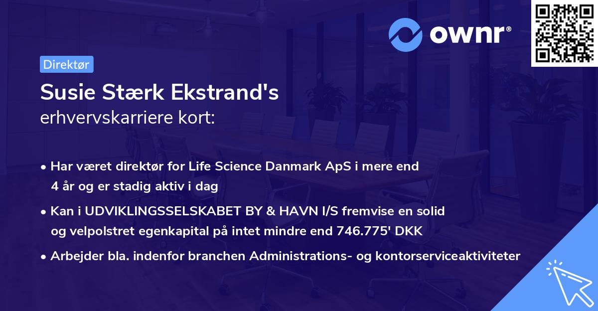 Susie Stærk Ekstrand's erhvervskarriere kort