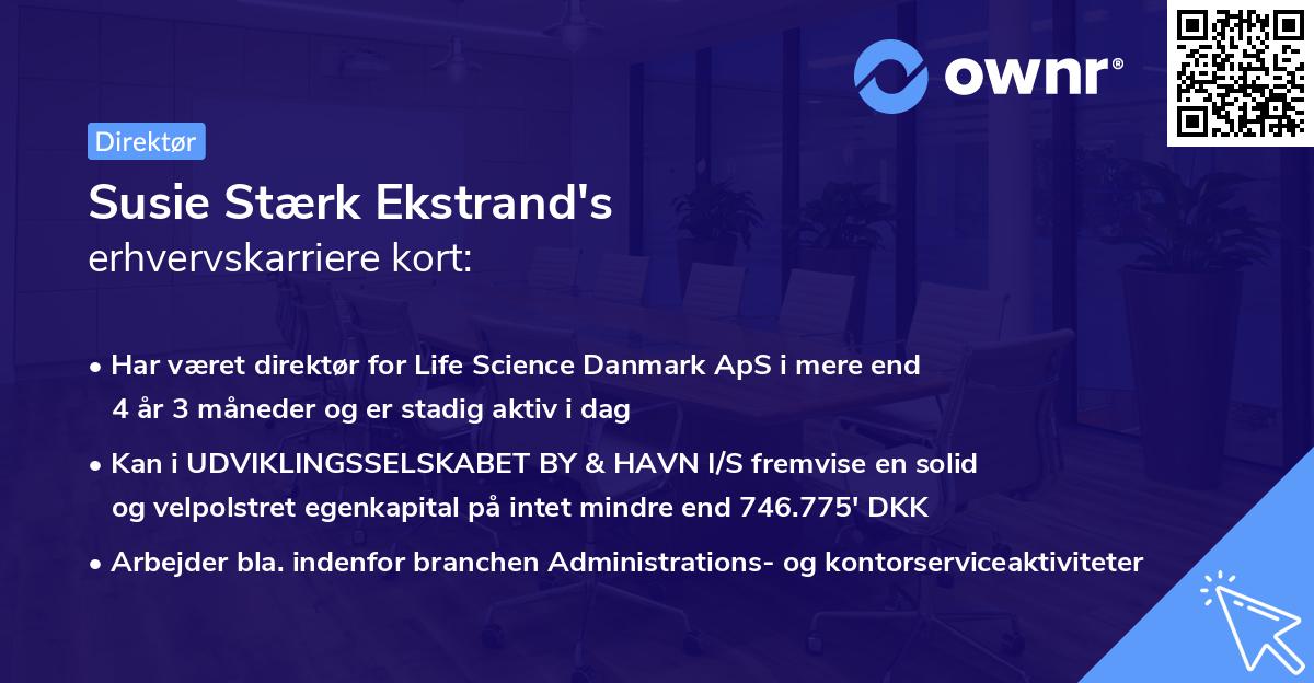 Susie Stærk Ekstrand's erhvervskarriere kort