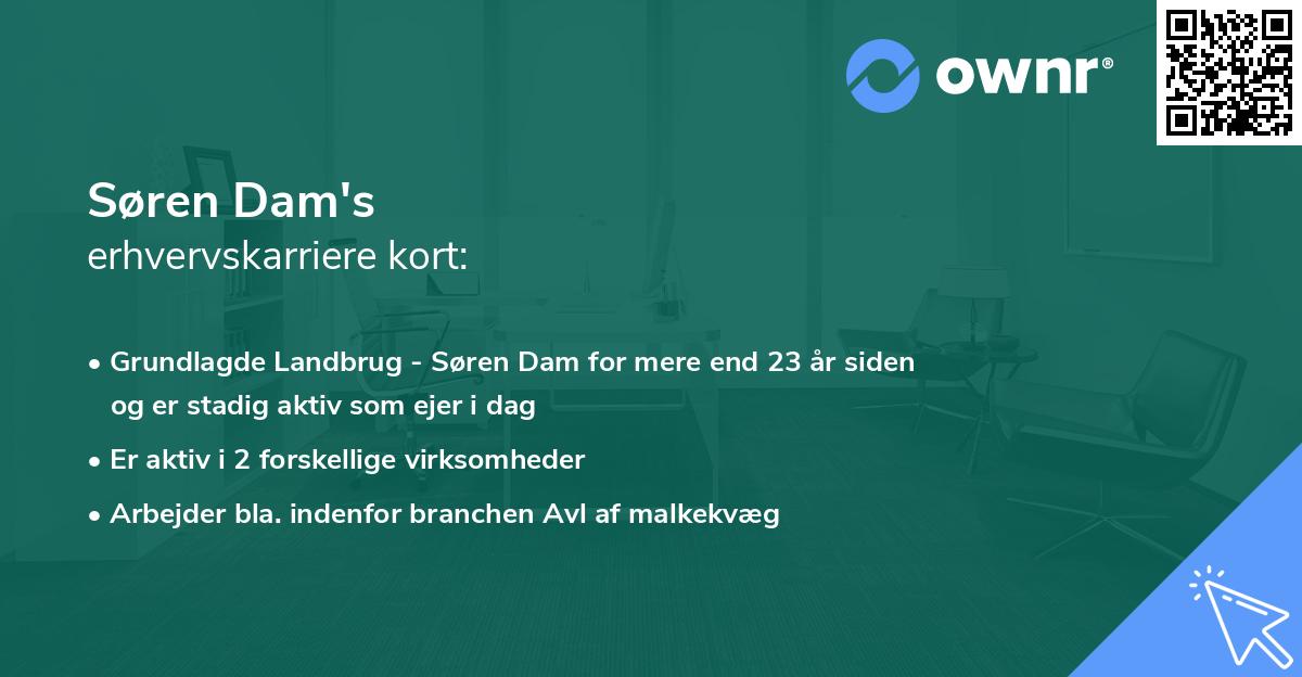 Søren Dam's erhvervskarriere kort