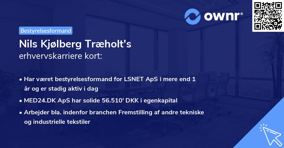 Nils Kjølberg Træholt's erhvervskarriere kort