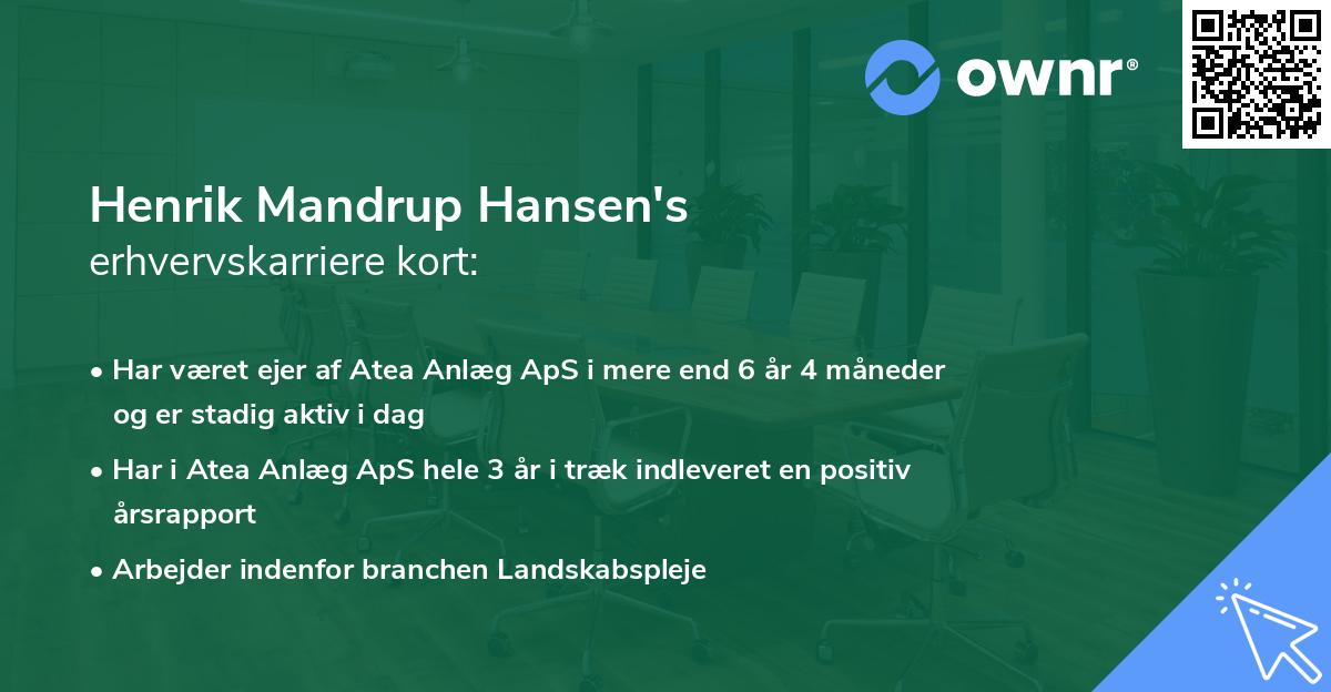 Henrik Mandrup Hansen's erhvervskarriere kort