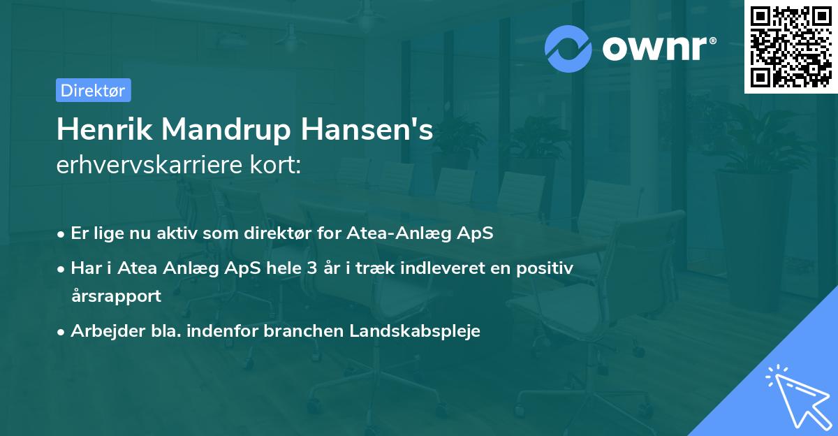 Henrik Mandrup Hansen's erhvervskarriere kort