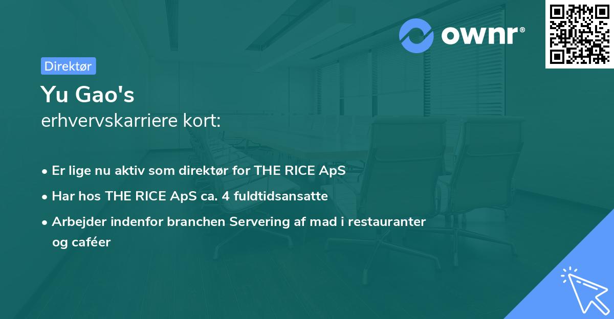 Yu Gao's erhvervskarriere kort