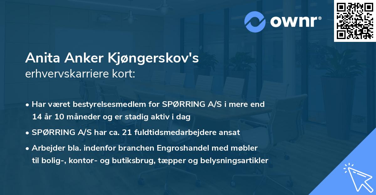 Anita Anker Kjøngerskov's erhvervskarriere kort