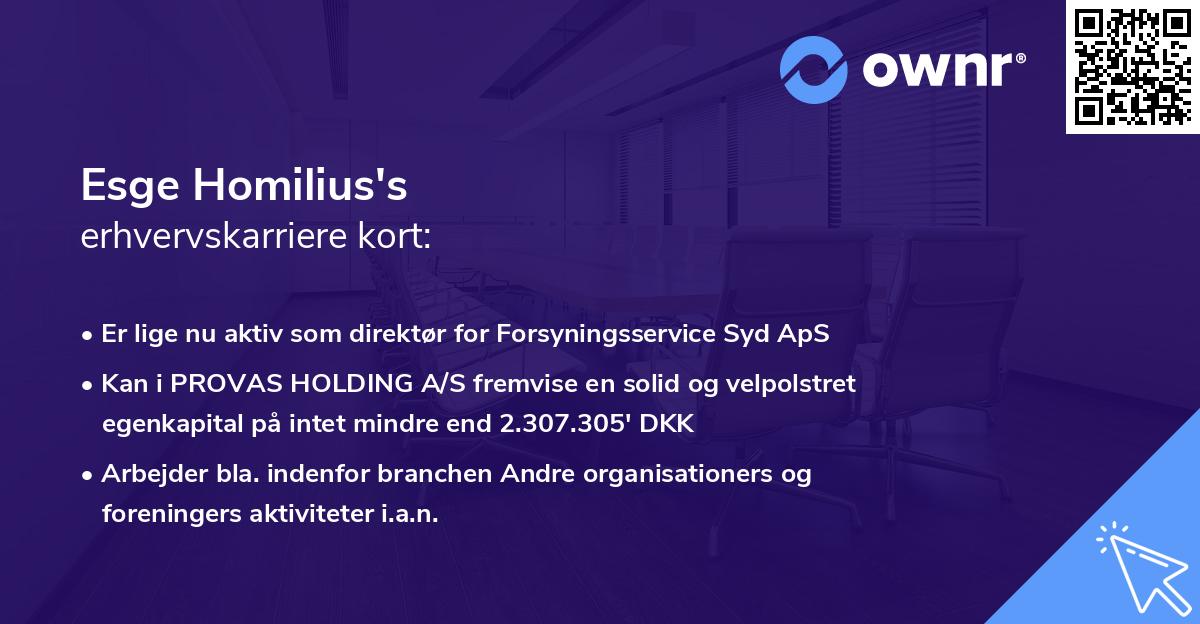 Esge Homilius's erhvervskarriere kort