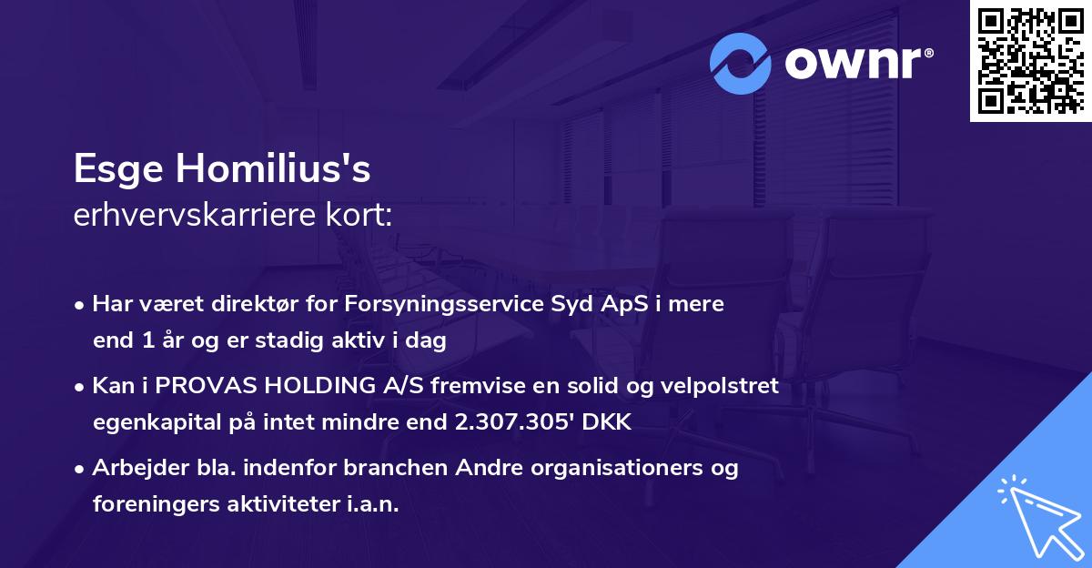 Esge Homilius's erhvervskarriere kort