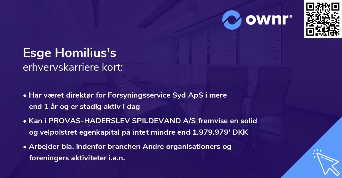 Esge Homilius's erhvervskarriere kort