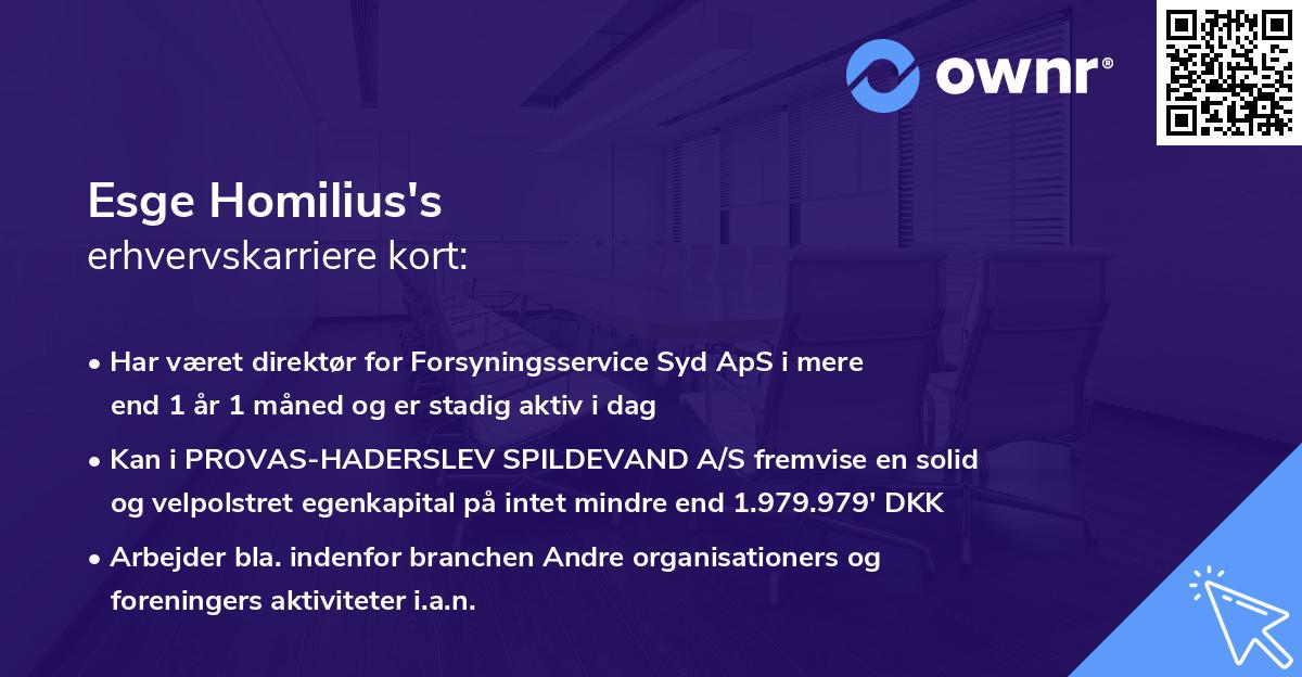 Esge Homilius's erhvervskarriere kort