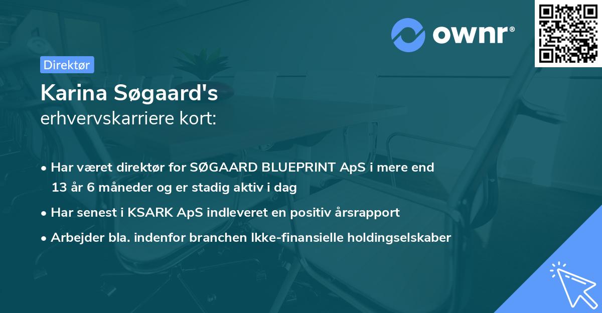 Karina Søgaard's erhvervskarriere kort
