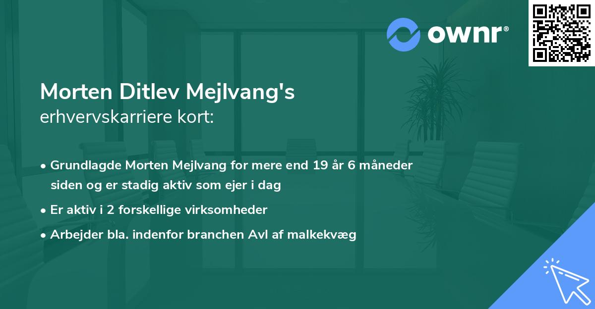 Morten Ditlev Mejlvang's erhvervskarriere kort