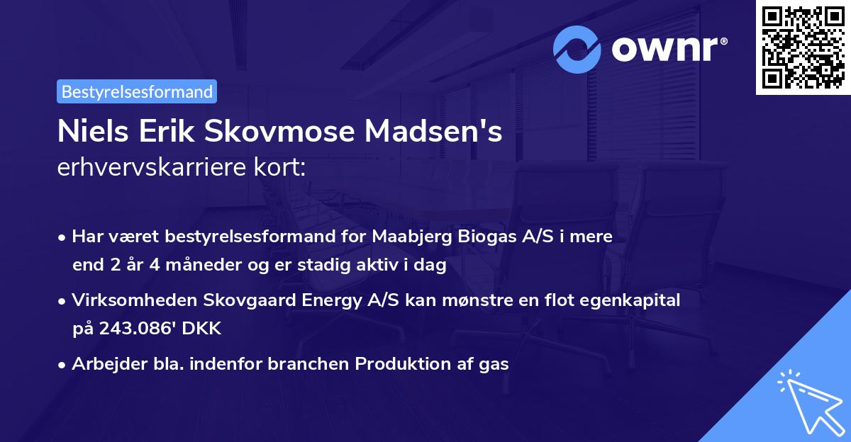 Niels Erik Skovmose Madsen's erhvervskarriere kort