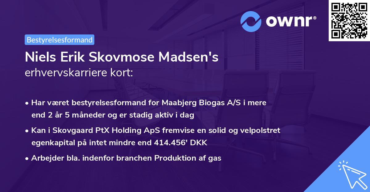 Niels Erik Skovmose Madsen's erhvervskarriere kort