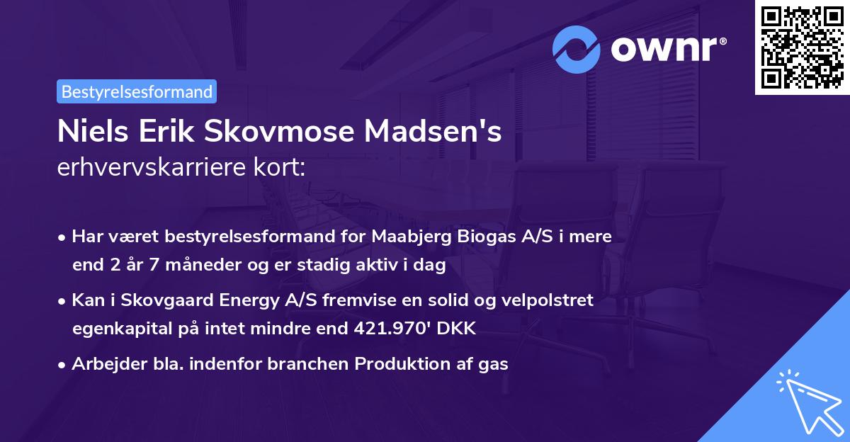 Niels Erik Skovmose Madsen's erhvervskarriere kort