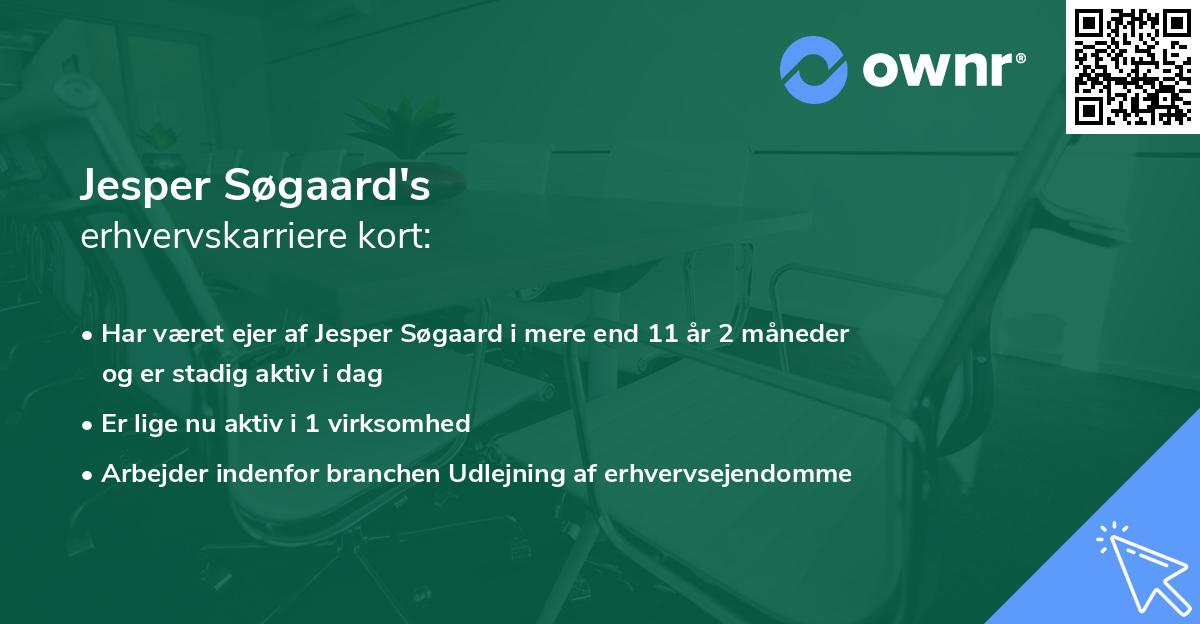 Jesper Søgaard's erhvervskarriere kort