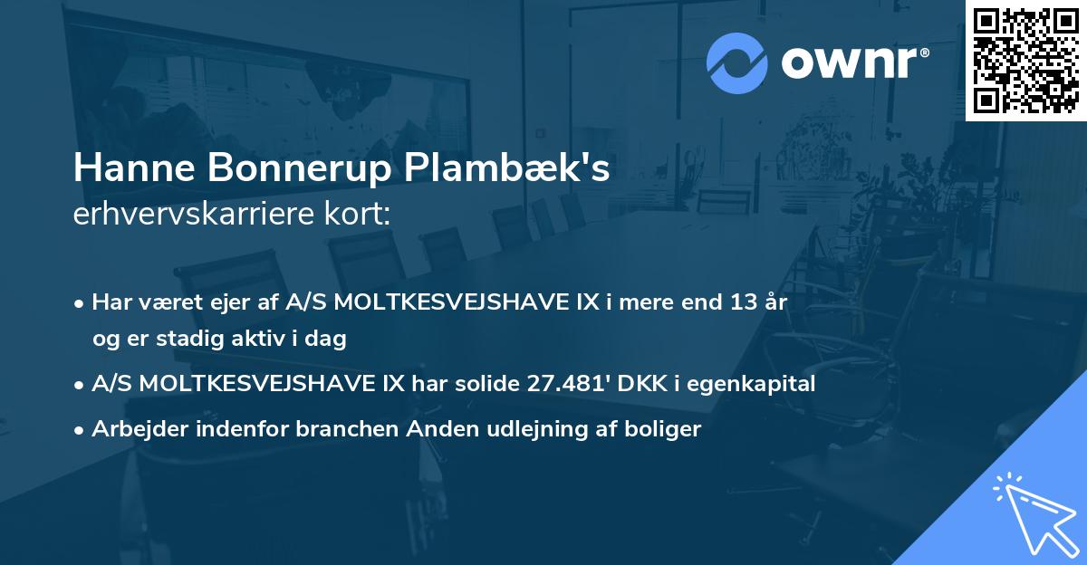 Hanne Bonnerup Plambæk's erhvervskarriere kort