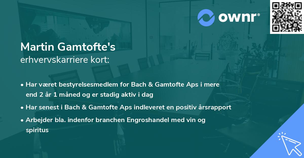 Martin Gamtofte's erhvervskarriere kort