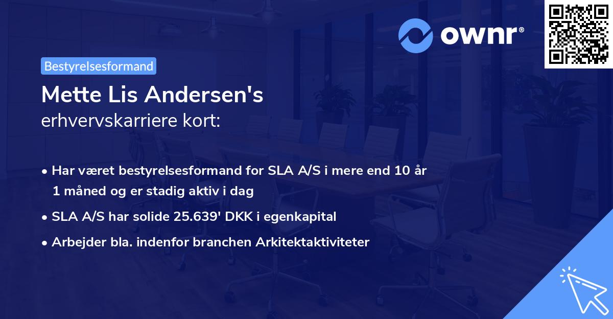Mette Lis Andersen's erhvervskarriere kort