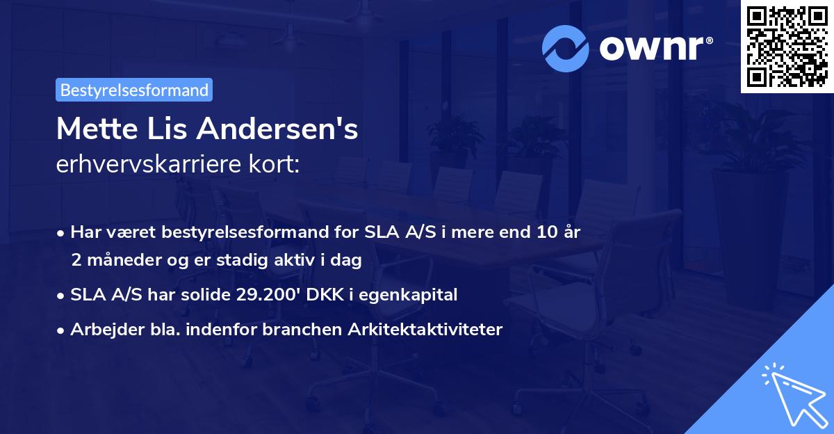 Mette Lis Andersen's erhvervskarriere kort