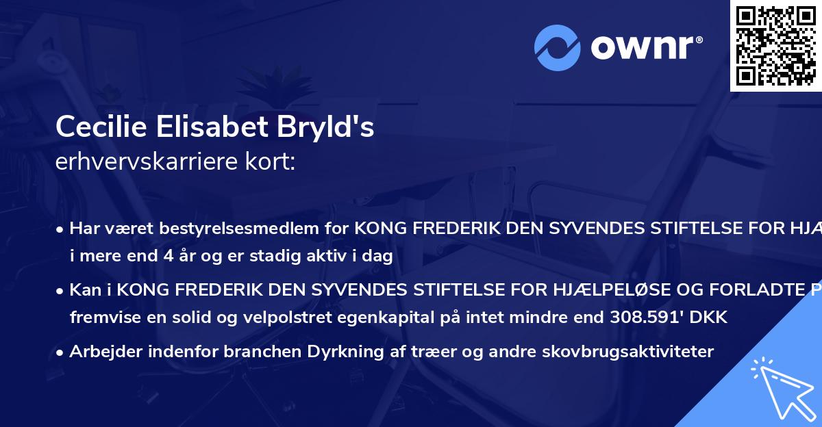 Cecilie Elisabet Bryld's erhvervskarriere kort