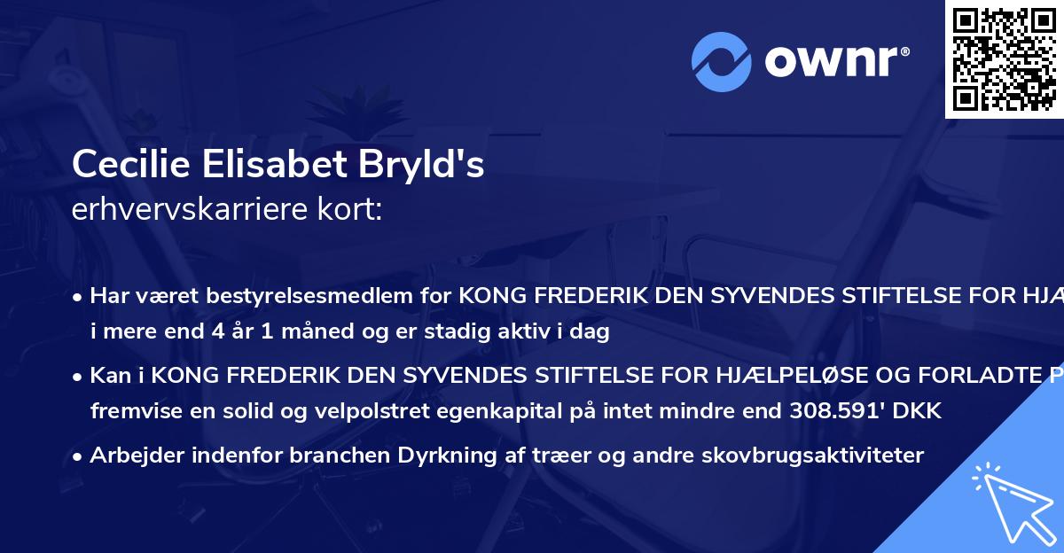 Cecilie Elisabet Bryld's erhvervskarriere kort