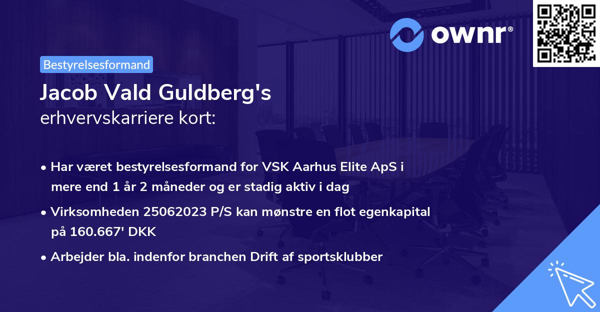 Jacob Vald Guldberg's erhvervskarriere kort