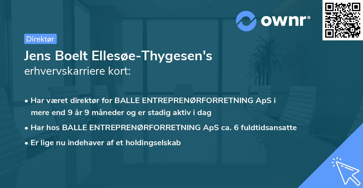 Jens Boelt Ellesøe-Thygesen's erhvervskarriere kort