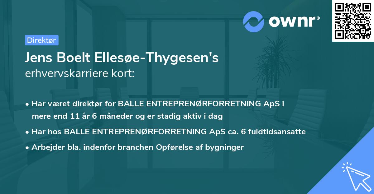 Jens Boelt Ellesøe-Thygesen's erhvervskarriere kort