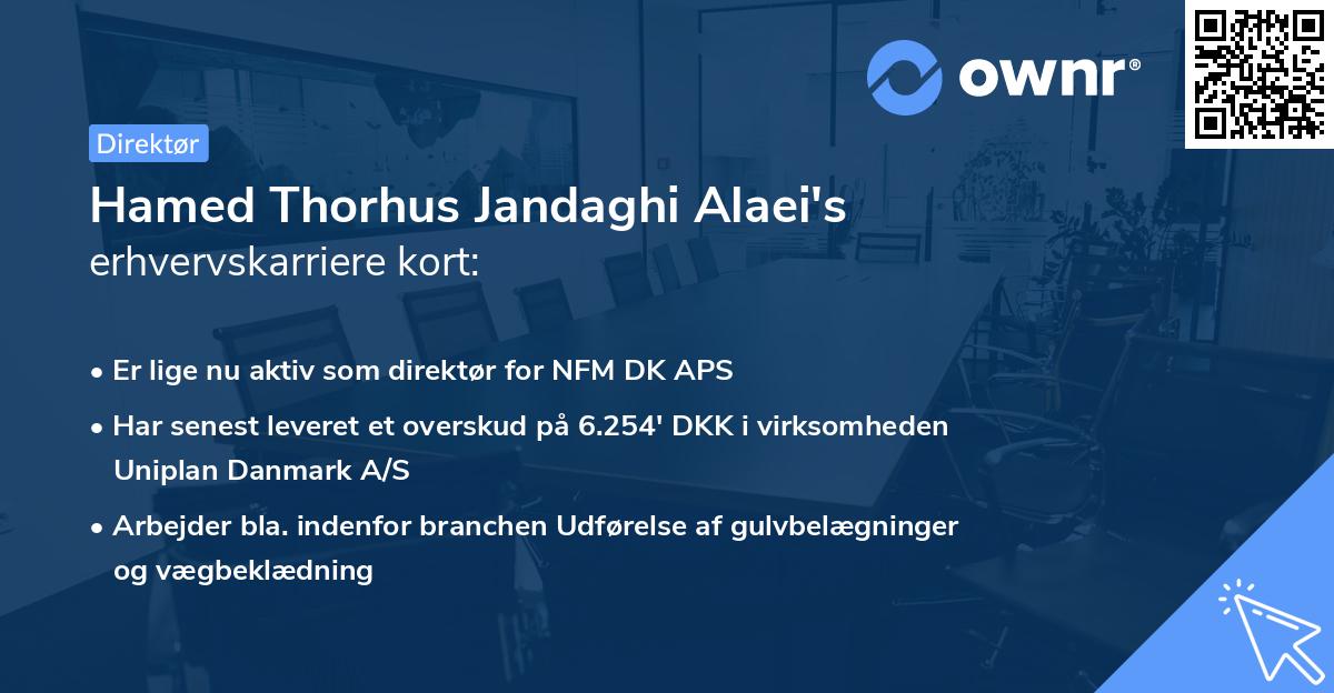 Hamed Thorhus Jandaghi Alaei's erhvervskarriere kort