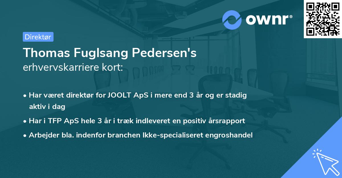 Thomas Fuglsang Pedersen's erhvervskarriere kort