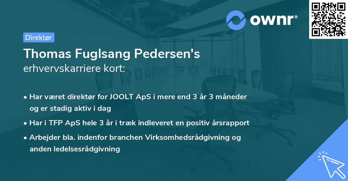 Thomas Fuglsang Pedersen's erhvervskarriere kort