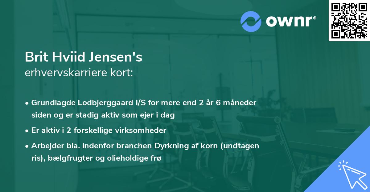 Brit Hviid Jensen's erhvervskarriere kort