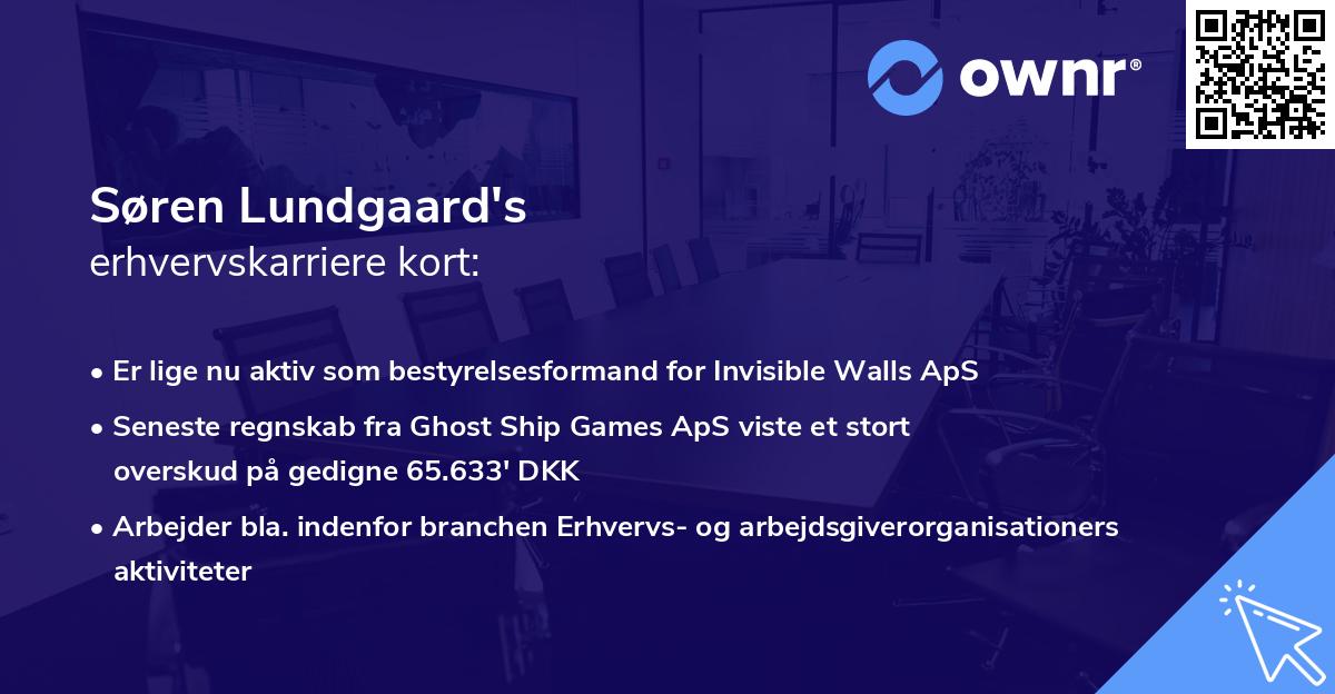 Søren Lundgaard's erhvervskarriere kort