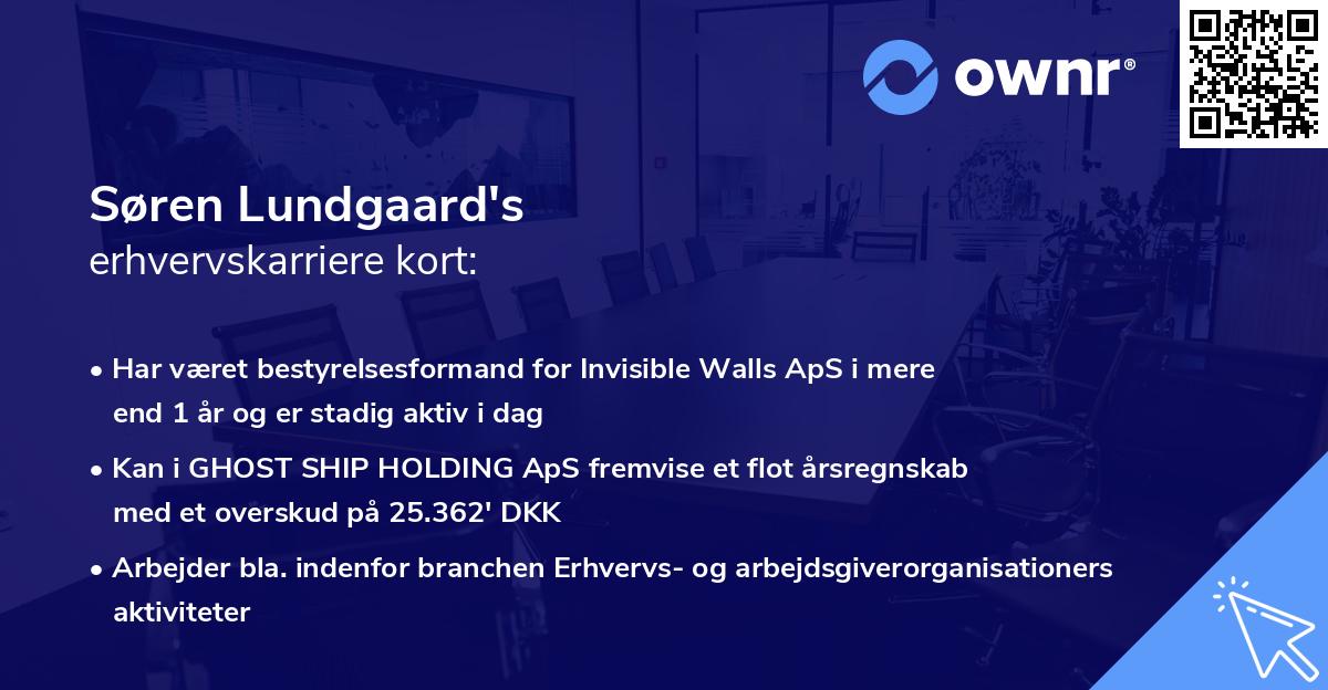 Søren Lundgaard's erhvervskarriere kort