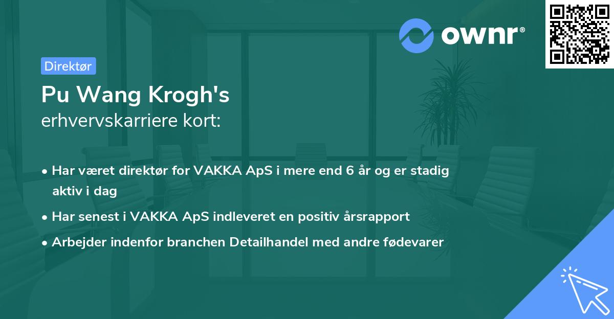 Pu Wang Krogh's erhvervskarriere kort