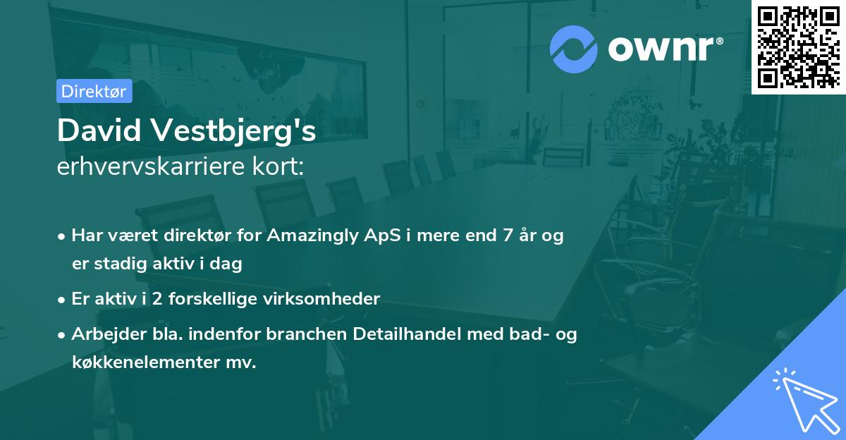 David Vestbjerg's erhvervskarriere kort