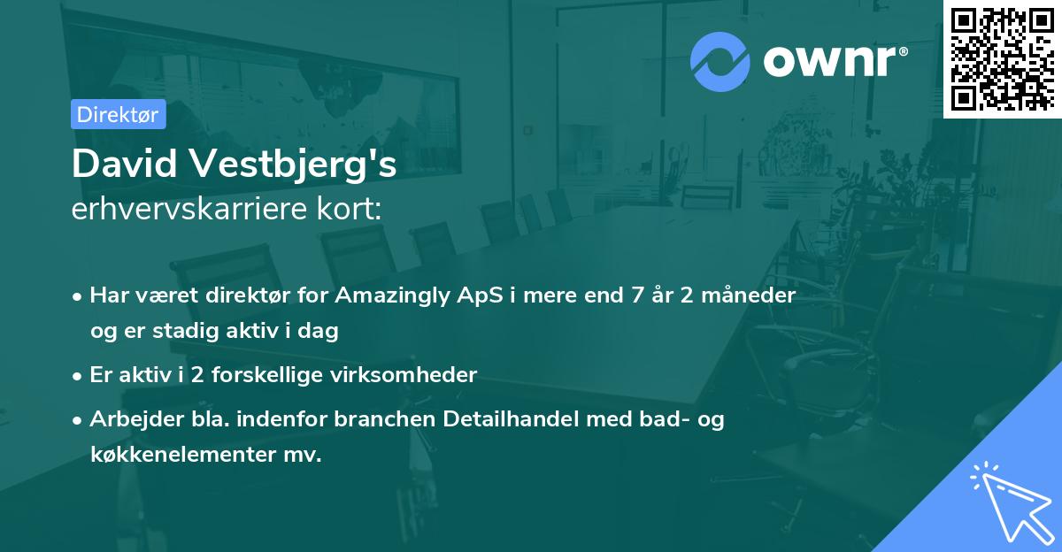 David Vestbjerg's erhvervskarriere kort