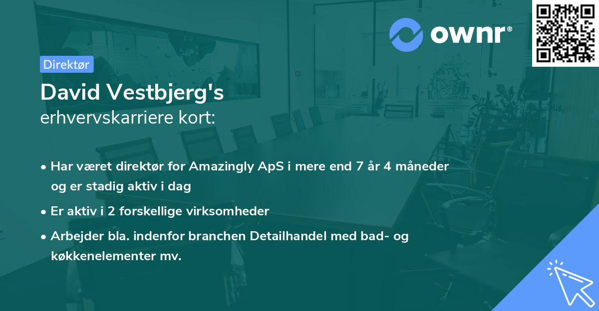 David Vestbjerg's erhvervskarriere kort