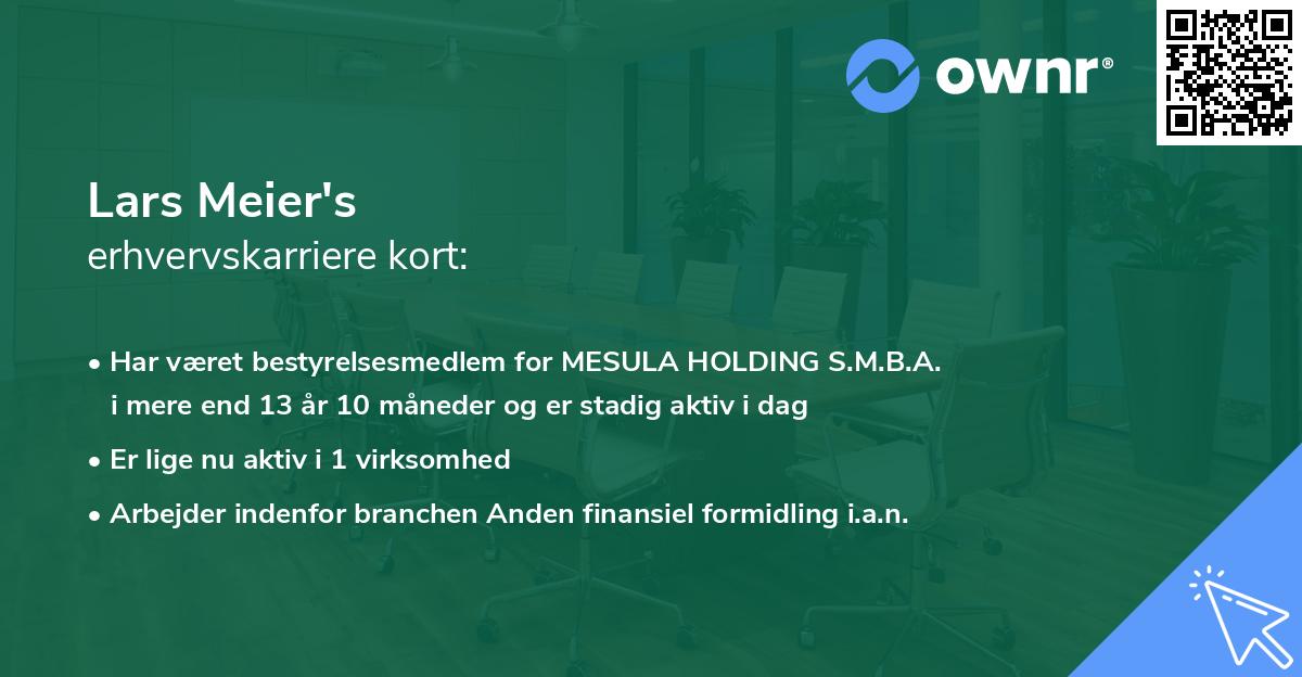 Lars Meier's erhvervskarriere kort