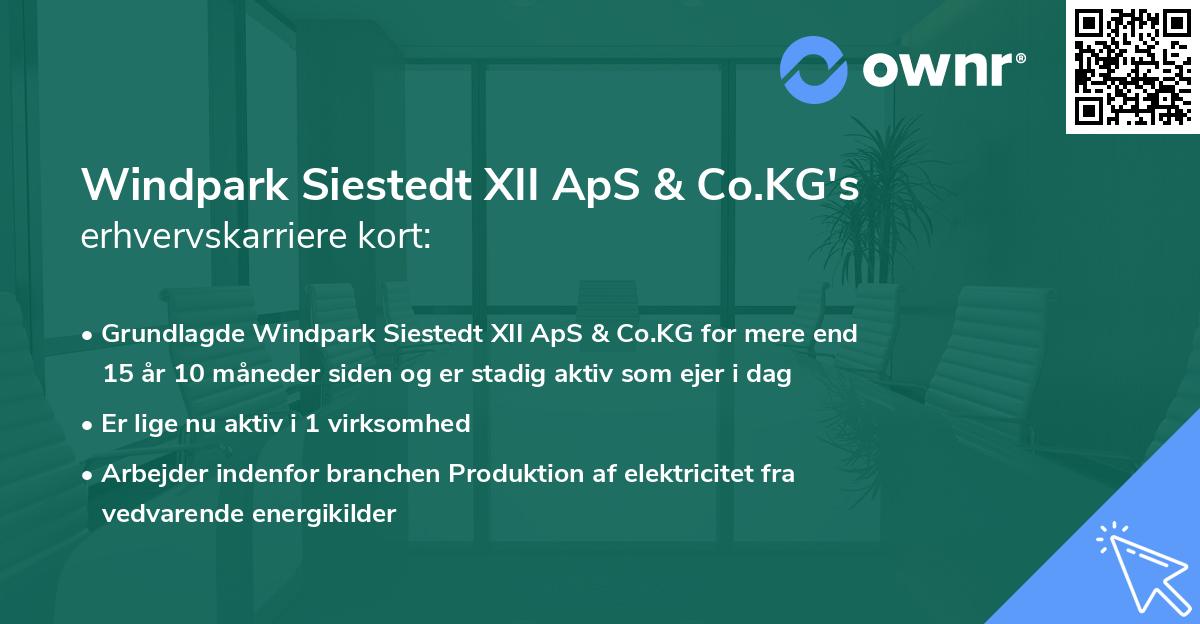 Windpark Siestedt XII ApS & Co.KG's erhvervskarriere kort