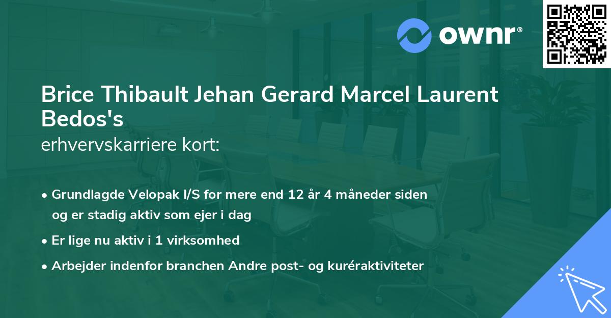 Brice Thibault Jehan Gerard Marcel Laurent Bedos's erhvervskarriere kort